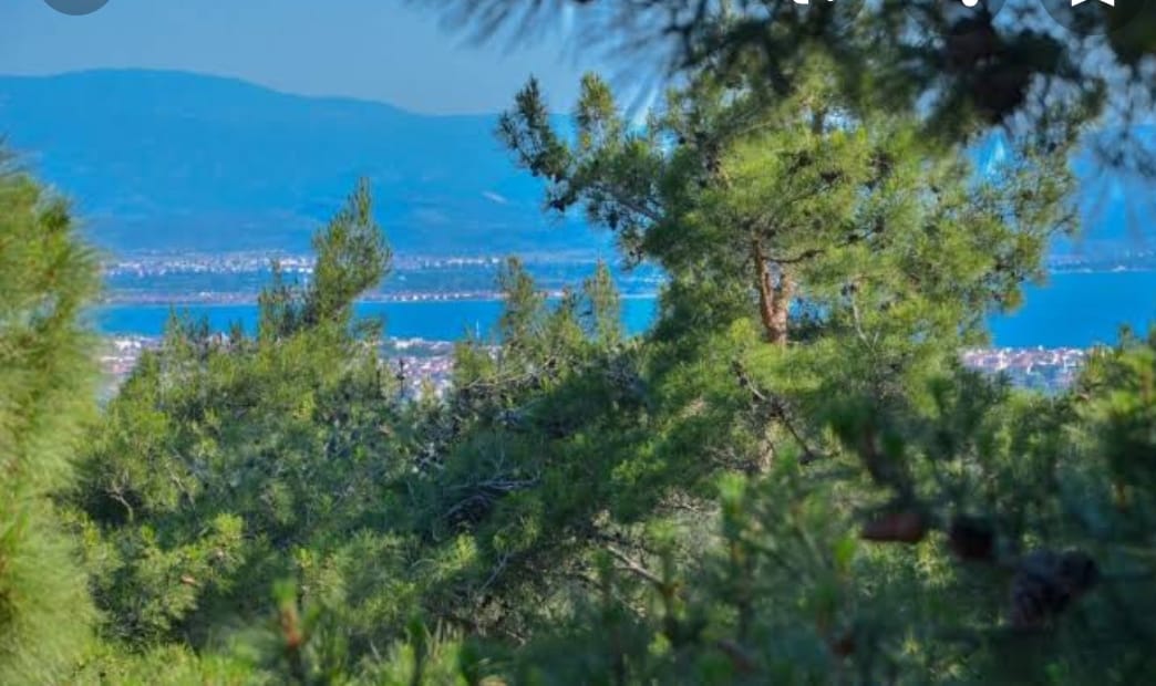 Hizmet Galerisi